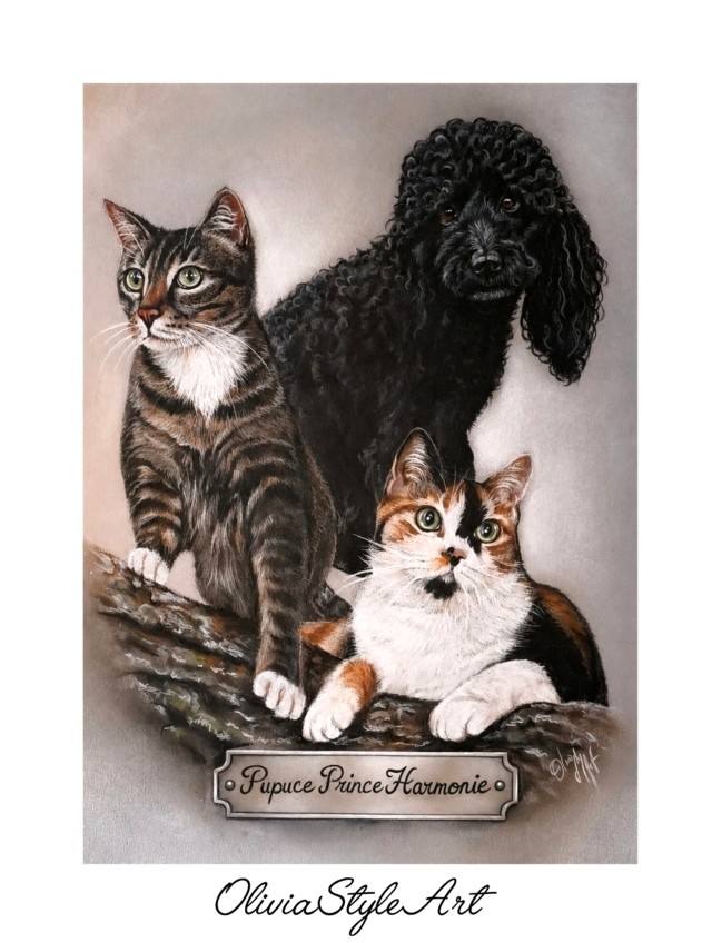 Trio de tendresse